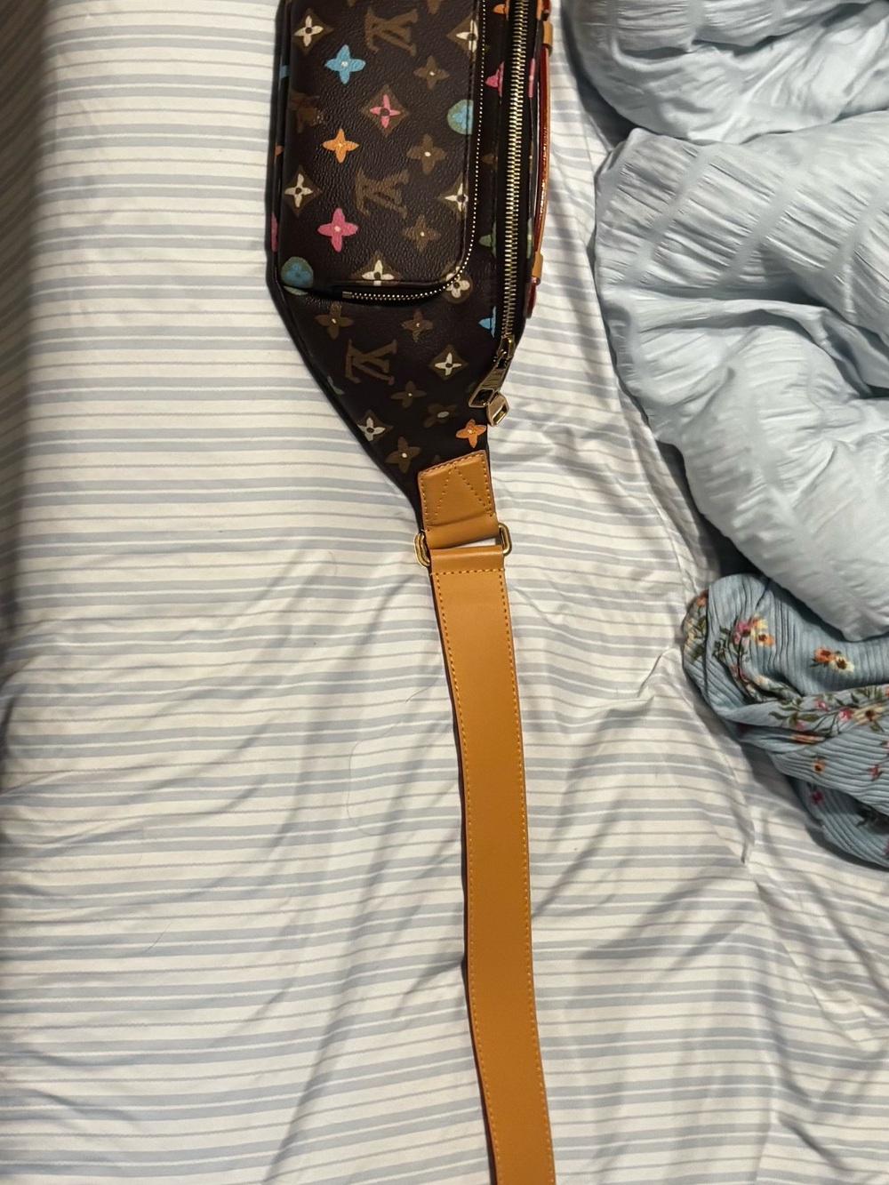 Louis Vuitton x Tyler the Creator - Picture 10 of 10